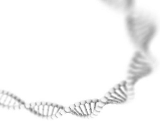large product photo